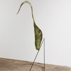 Davide Zucco