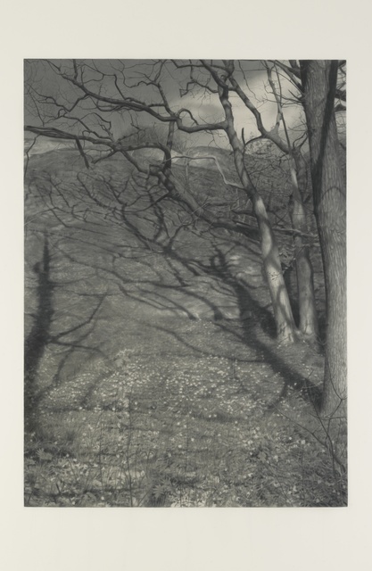 Gunnel Wåhlstrand, ‘Slope (Sluttning)’, 2014, Andréhn-Schiptjenko