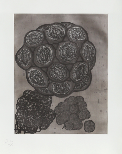 Terry Winters, ‘Untitled 6 from Album’, 1988, Print, Etching and Aquatint, RoGallery