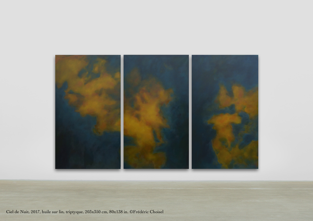 Frédéric Choisel, ‘Ciel de Nuit/ Triptych’, 2017, Andra Norris Gallery