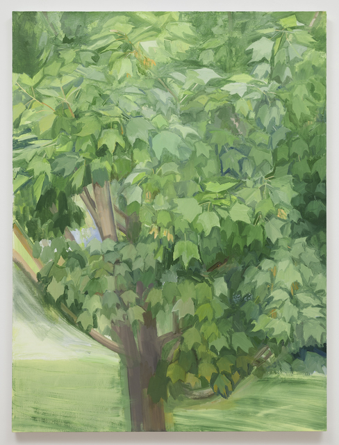 Sylvia Plimack Mangold, ‘Summer Maple 2013’, 2013, Alexander and Bonin