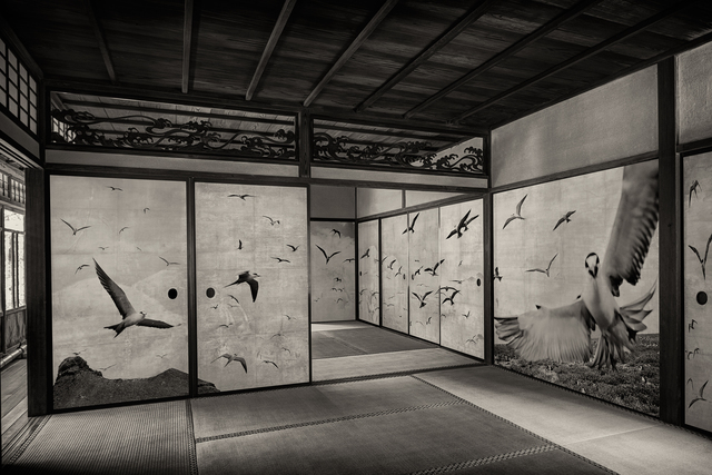 Kenji Wakasugi, ‘Flock’, 2016, Ippodo Gallery