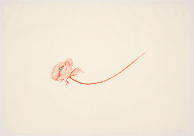 Valerie Hammond, ‘Little Bird’, 2011, Tamarind Institute