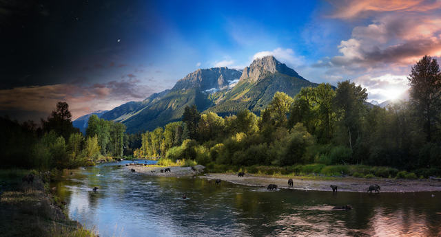 Stephen Wilkes, ‘Day to Night, Grizzly Bears, Bella Coola, British Columbia,’, 2018, Photography, Archival C-Print, Bryce Wolkowitz Gallery