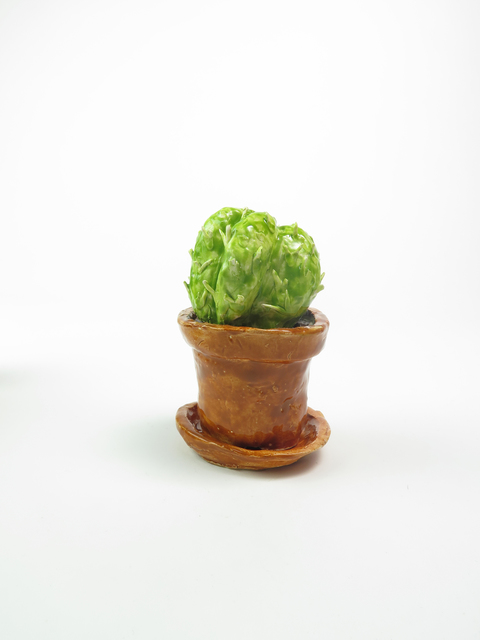 Rose Eken, ‘Cactus V’, 2019, V1 Gallery