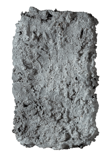 Paulius Sliaupa, ‘The myth of objective sight’, 2017, Meno niša Gallery