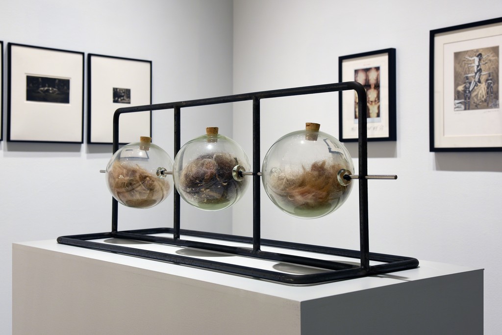 Bring Your Own Body: Transgender Between Archives and Aesthetics. Cantor Fitzgerald Gallery 2016. Photo: Lisa Boughter Bring Your Own Body: Transgender Between Archives and Aesthetics. Cantor Fitzgerald Gallery 2016. Photo: Lisa Boughter