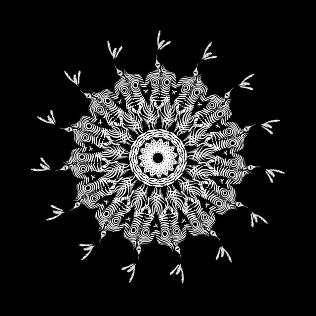 Federico Bianchi, ‘Deprived Mohave N15’, 2019, Photography, Archival pigment print on metallic paper, SmithDavidson Gallery