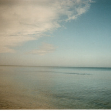 SHIM/Photography at Atlantic Gallery: Part II