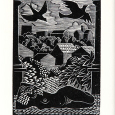 Jinny Heath