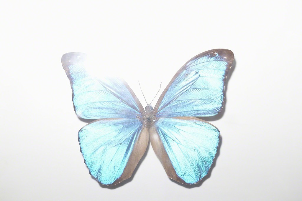 Rinko Kawauchi, 4%, 2013 Rinko Kawauchi, 4%, 2013