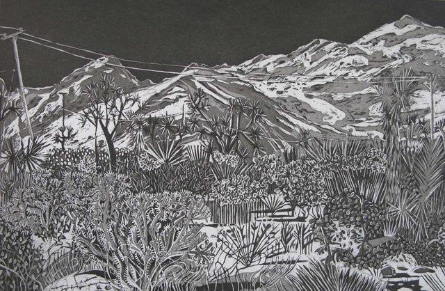 Kate Crook, ‘Joshua Tree #7’, 2017, Print, Lithograph, edition 50. Somerset white paper, acid free, Asher Grey Gallery