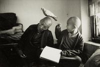 12 year old Tulka Khentrul Lodro Rabsel with his tutor, Lhagyel, Shechen Monastry, Bodnath, Nepal