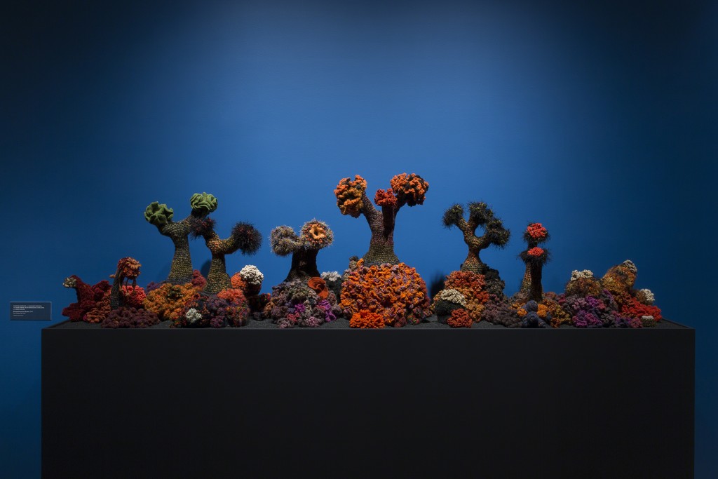 Installation view of 'Crochet Coral Reef: TOXIC SEAS', 2016. Photo by Jenna Bascom. Courtesy of the Museum of Arts and Design. Installation view of 'Crochet Coral Reef: TOXIC SEAS', 2016. Photo by Jenna Bascom. Courtesy of the Museum of Arts and Design.