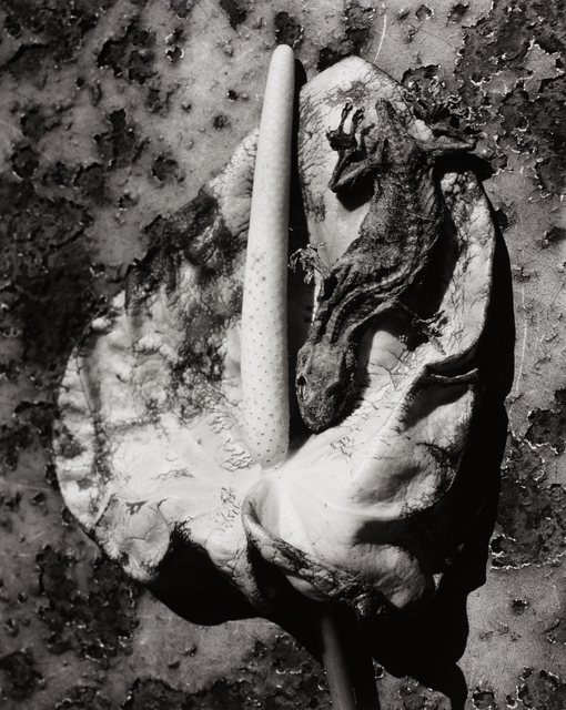 Nobuyoshi Araki, ‘Untitled, Japan’, ca. 2000, Ostlicht. Gallery for Photography