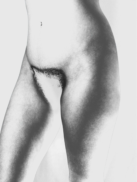 Mona Kuhn, ‘Bushes 13’, 2014, Photography, Chromogenic metallic Dye Coupler Print, Galerie XII