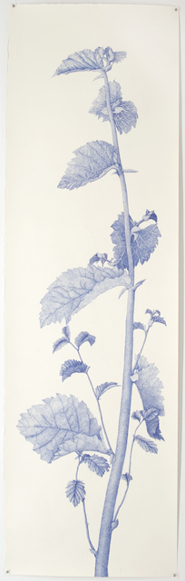 Joan Linder - 16 Artworks, Bio & Shows on Artsy