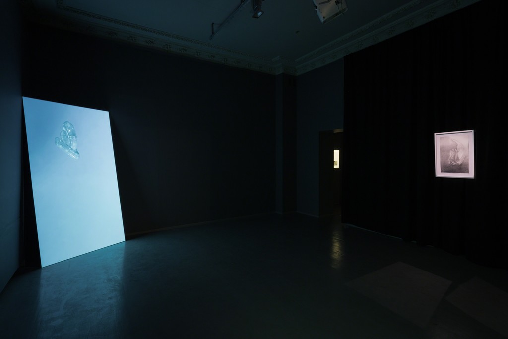 Exhibition view Exhibition view