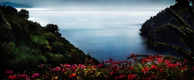 David Drebin, ‘Portofino Flowers’, 2013, Art Angels