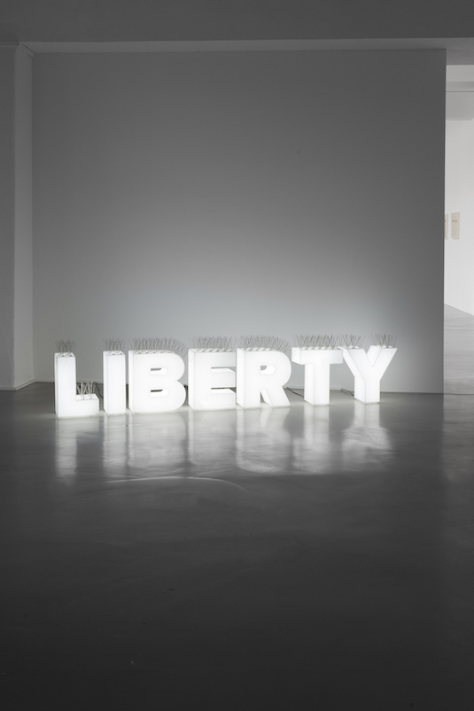 Šejla Kamerić
Liberty, 2015
Plexiglas, led lights, metal spikes
51 × 193 × 20 cm
Courtesy Galerie Tanja Wagner, Berlin
Photo: Franziska von den Driesch Šejla Kamerić
Liberty, 2015
Plexiglas, led lights, metal spikes
51 × 193 × 20 cm
Courtesy Galerie Tanja Wagner, Berlin
Photo: Franziska von den Driesch