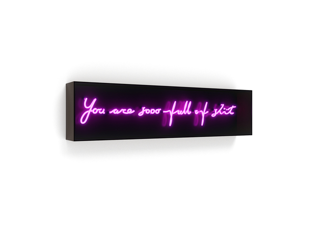 David Drebin, ‘You are sooo full of shit’, 2017, Other, Neon Light Installation, Contessa Gallery