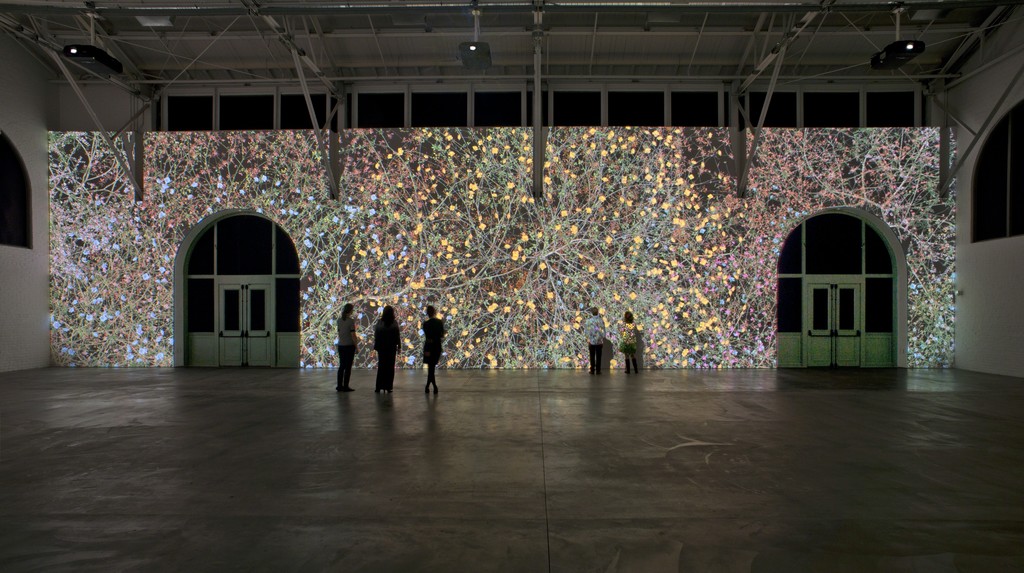 Jennifer Steinkamp
Madame Curie, 2011
seven-channel, synchronized projection
dimensions variable
Collection Museum of Contemporary Art San Diego
Museum purchase with funds provided by Joan and Irwin Jacobs, 2011.1
Photo: Robert Wedemeyer
Jennifer Steinkamp
Madame Curie, 2011
seven-channel, synchronized projection
dimensions variable
Collection Museum of Contemporary Art San Diego
Museum purchase with funds provided by Joan and Irwin Jacobs, 2011.1
Photo: Robert Wedemeyer