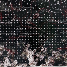 Andy H. Jung