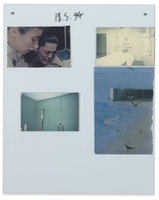 Blue Diary (18.5.94.5)