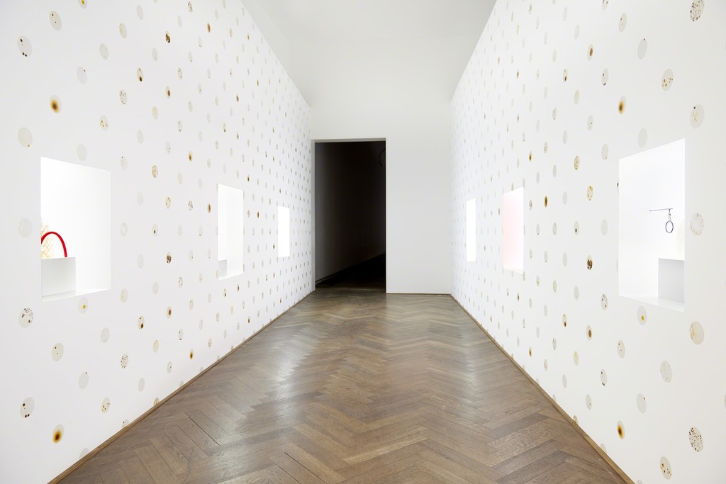 Anicka Yi, Installation view "7,070,430K of Digital Spit," Kunsthalle Basel, 2015 Photo: Philipp Hänger Anicka Yi, Installation view "7,070,430K of Digital Spit," Kunsthalle Basel, 2015 Photo: Philipp Hänger