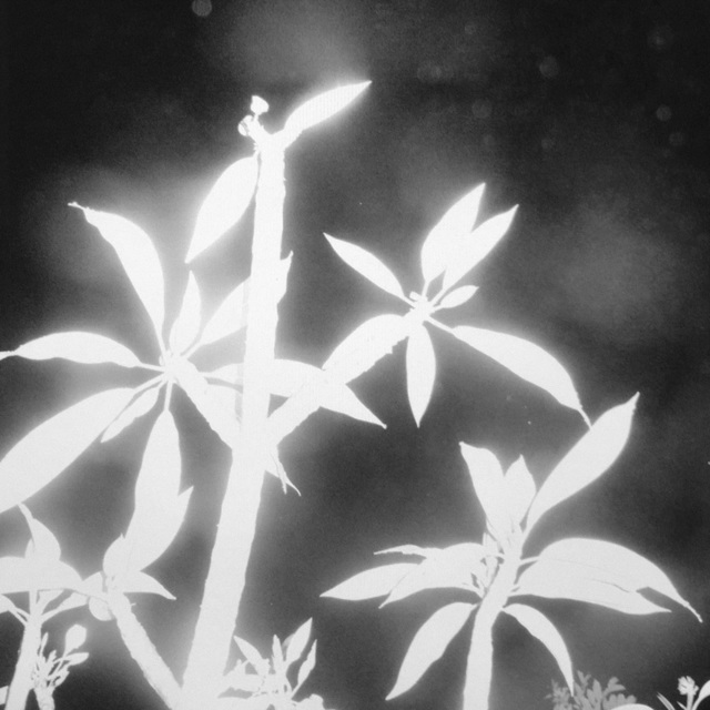 Katrin Koenning, ‘Midnight in Prahran I / Successions, From Astres Noirs’, 2015, East Wing