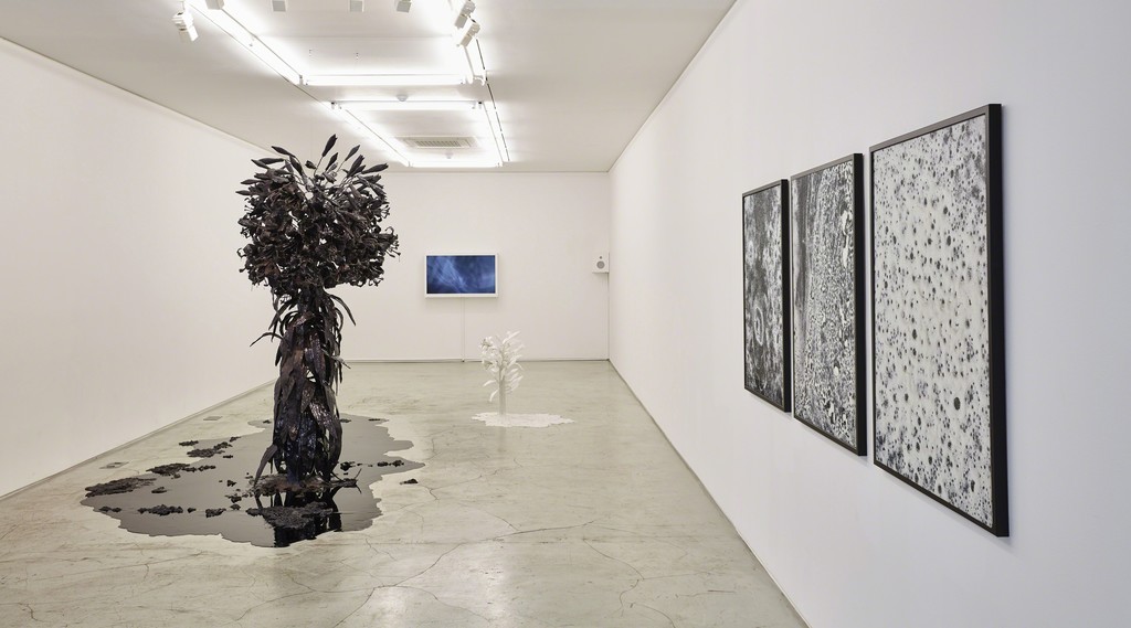 "wellknown unknown" installation view, K1
Photo: Keith Park
Image provided by Kukje Gallery "wellknown unknown" installation view, K1
Photo: Keith Park
Image provided by Kukje Gallery