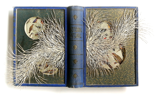 Barbara Wildenboer, ‘Historia Naturel’, 2019, Seager Gray Gallery