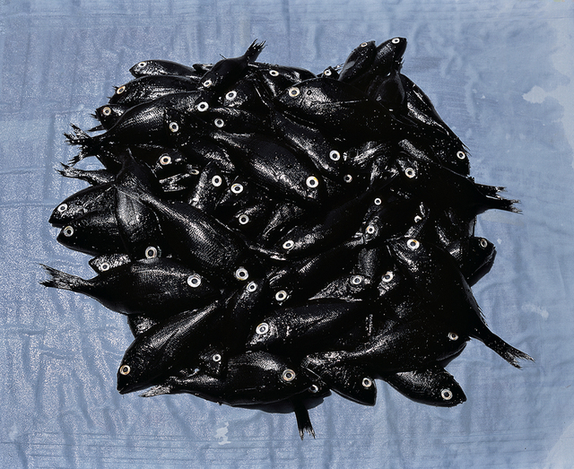 Thierry Fontaine, ‘Regard noir’, 2015, Galerie Les filles du calvaire