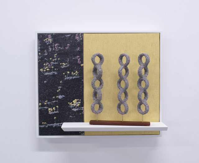 Tyler Beard, ‘Daisies & Dust’, 2017, Mixed Media, Archival Pigment Print, Brass, Cardboard, Fabric, Plastic, Sandstone, Wood, VICTORI+MO CONTEMPORARY