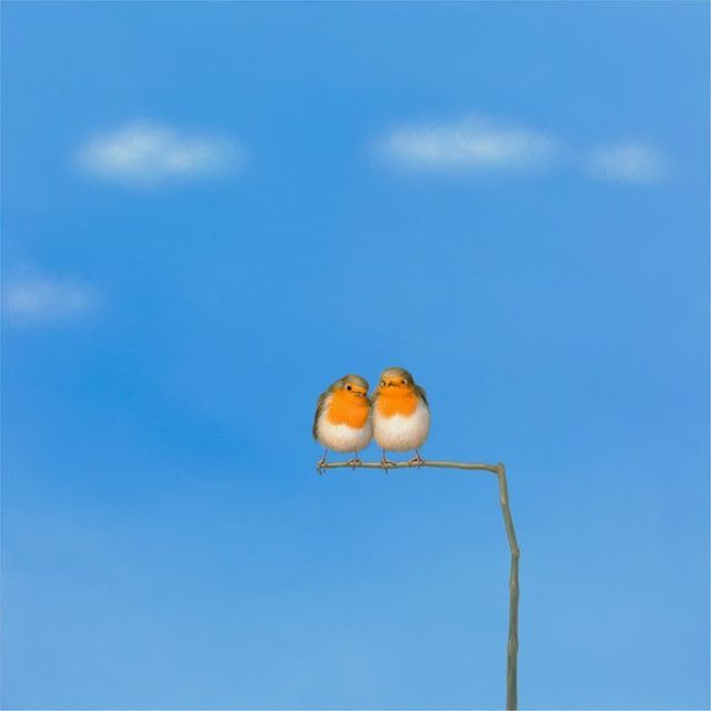 Lilia Mazurkevich, ‘Peas in a Pod’, 2018, M1 Fine Art