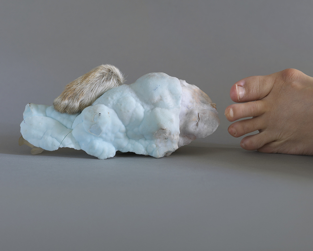 Maegan Hill-Carroll, ‘A Proximate Gesture, Golden ratio Rabbit’, 2018, Wil Aballe Art Projects | WAAP