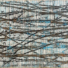 Stephen Foss