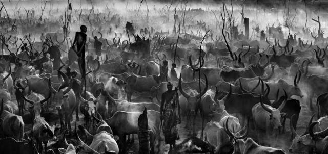David Yarrow, ‘Mankind III’, 2015, Isabella Garrucho Fine Art