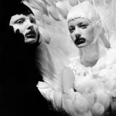 Ann Ray