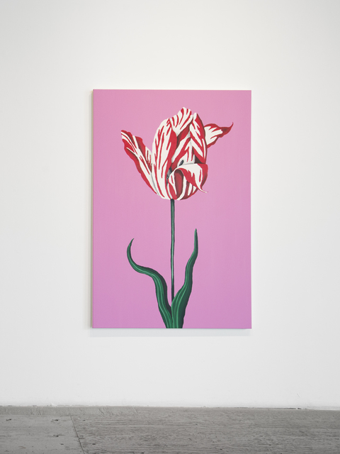 Libby Black, ‘Red and White Tulip’, 2016, Gallery 16