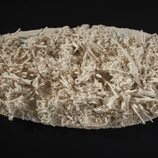 Lucille Lewin