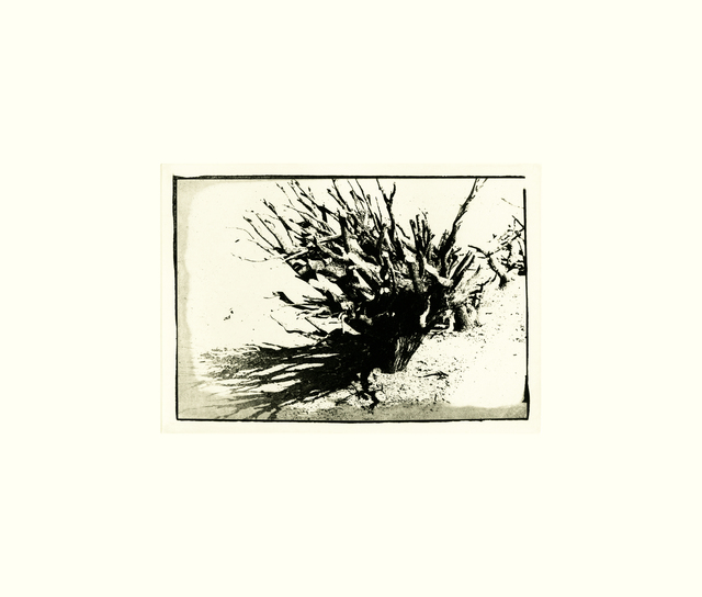 David Lynch, ‘Untitled X’, 1999, Tandem Press
