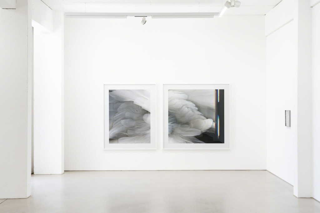 Installation view Edgar Leciejewski / Oskar Rink – DEN GANZEN TAG AM STRAND, G2 Kunsthalle Leipzig, 8 June – 23 September 2018, photo: Dotgain.info © the artists & G2 Kunsthalle Leipzig Installation view Edgar Leciejewski / Oskar Rink – DEN GANZEN TAG AM STRAND, G2 Kunsthalle Leipzig, 8 June – 23 September 2018, photo: Dotgain.info © the artists & G2 Kunsthalle Leipzig