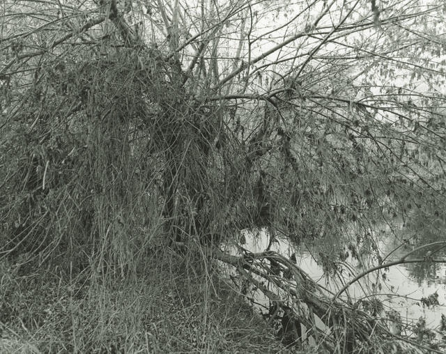 Mark Ruwedel, ‘LA River/Sepulveda Basin #80’, 2018, Photography, Gelatin silver print dry-mounted to archival board, Gallery Luisotti