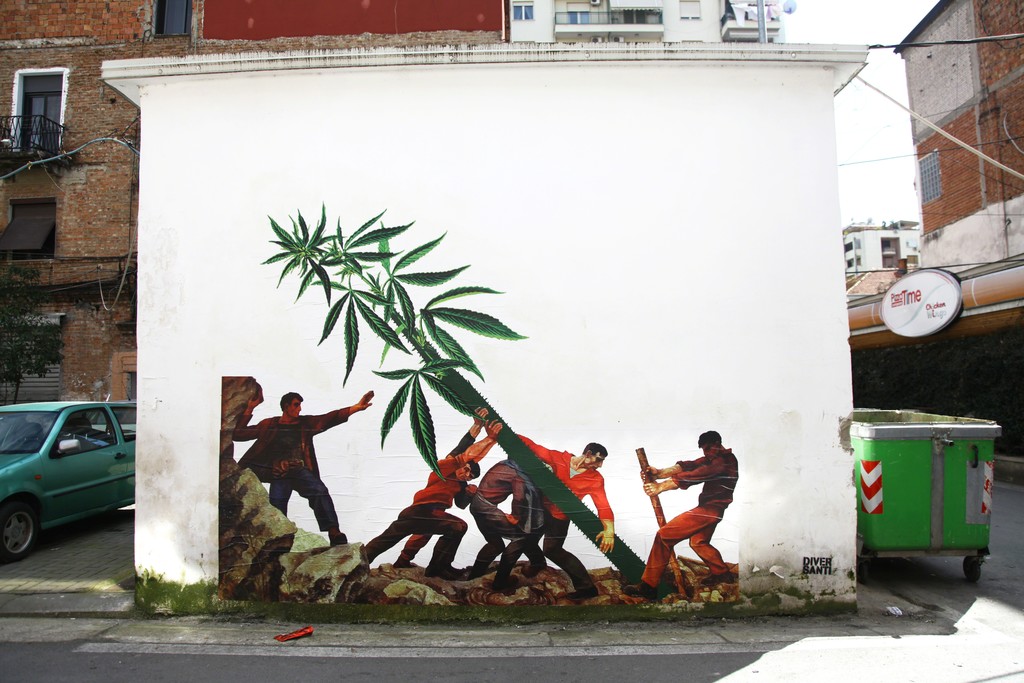 Ergin Zaloshnja, Weed Nation, c-print on wall, variable dimensions, 2018, courtesy the artist Ergin Zaloshnja, Weed Nation, c-print on wall, variable dimensions, 2018, courtesy the artist