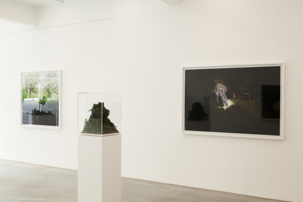Installation view Installation view