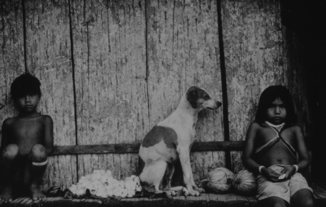 Mirella Ricciardi, ‘Marubo Children and Dog Resting’, 1965-1970, Photography, Platinum Palladium Print, Bernheimer Fine Art