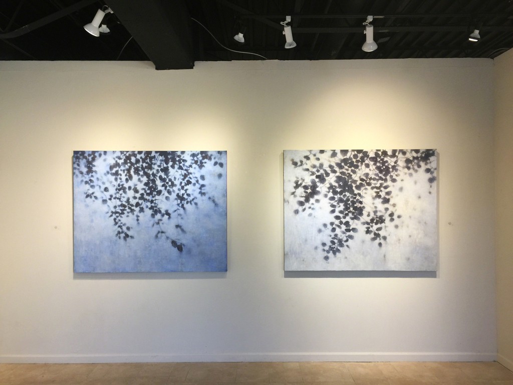 A Corner of Nature installation view: David Kidd A Corner of Nature installation view: David Kidd