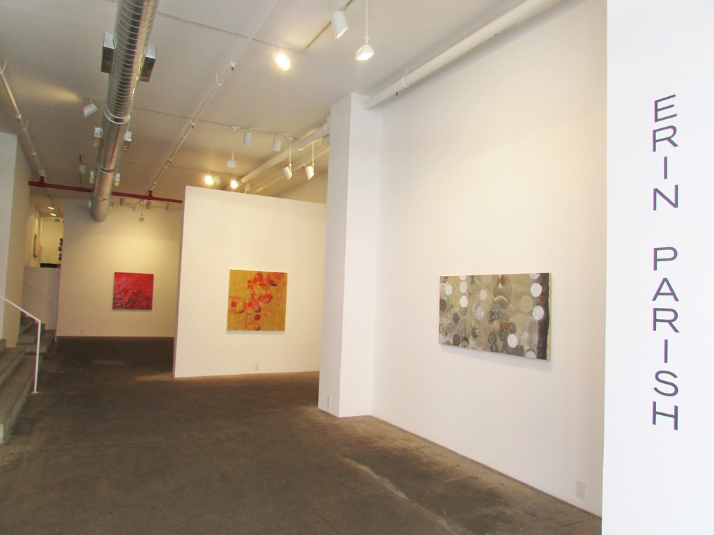Installation Shot - Erin Parish 2015 Installation Shot - Erin Parish 2015