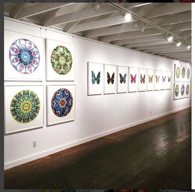 Samuel Owen Gallery logo